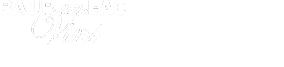 icon-4